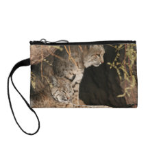 Bobcat Photo Coin Purse