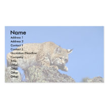 Bobcat skylined business card templates