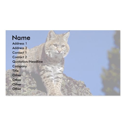 Bobcat skylined business cards