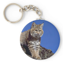 Bobcat skylined keychains