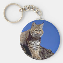 Bobcat skylined keychains