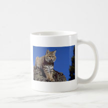Bobcat skylined mugs