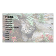 Bobcat-summer-young kitten in hollow log business card