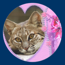Bobcat Valentine Stickers stickers