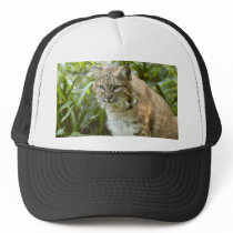 BobcatBCR010 Trucker Hats