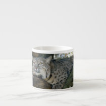 BobcatBCR049 mugs