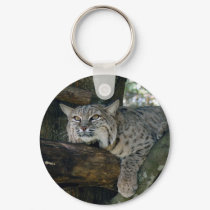 BobcatBCR049 keychains