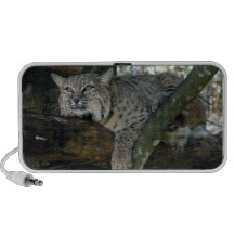 BobcatBCR049 Travel Speakers