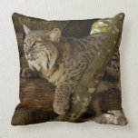 BobcatBCR053 Pillows