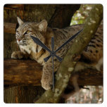 BobcatBCR053 Wallclock