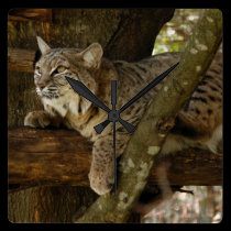 BobcatBCR053 wall clocks