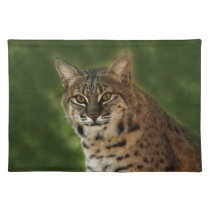 BobcatBCR056 placemats
