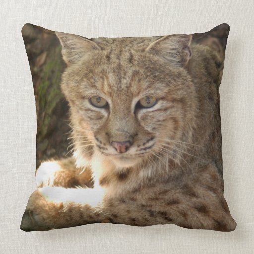 BobcatBCR062 Throw Pillows