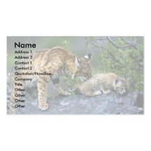 Bobcats-summer-mom with small kitten business card template