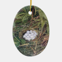 Bobwhite Nest Full of Eggs Christmas Tree Ornament