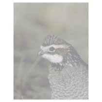 Bobwhite quail, cock letterhead template