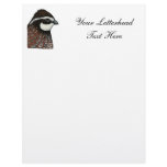 Bobwhite Quail Head letterhead