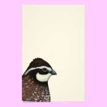 Bobwhite Quail Head stationery