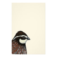 Bobwhite Quail Head Personalized Stationery