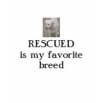 Bochelli's a happy rescue too T shirt by KCTUTAK Bochelli's a happy rescue too T shirt