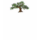 'Bodhi Tree '
