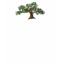 Bodhi Tree t-shirts