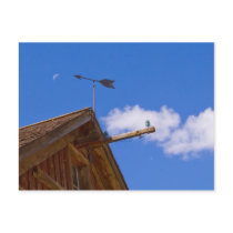 Bodie Ghost Town Point The Way Postcard