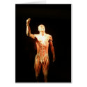 Bodies Exhibition cards