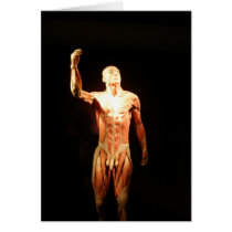 Bodies Exhibition cards
