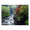 Bodnant Gardens North Wales U.K posters