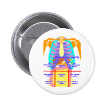 body_abdomina_color2 pinback buttons