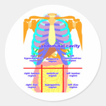 body_abdomina_color2 sticker