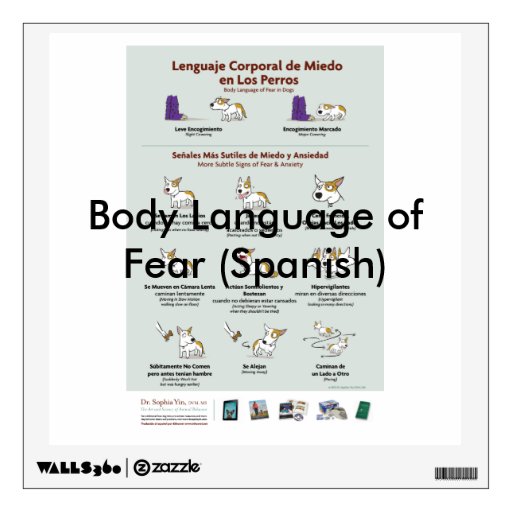 body-language-of-fear-in-dogs-spanish-wall-decal-zazzle