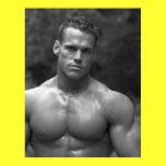 Bodybuilder Poster #40 posters