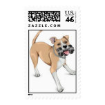 Bodybuilding Dog - Pitbull postage