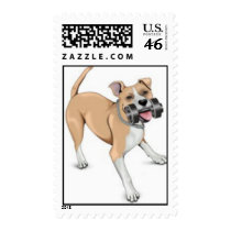 Bodybuilding Dog - Pitbull postage