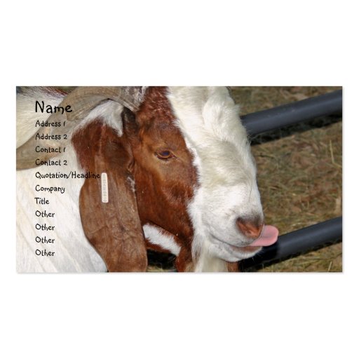 Boer Goat Billy Sticking His Tongue Out Business Cards (front side)