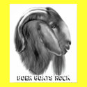 Boer Goat Poster posters