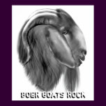 Boer Goat Poster