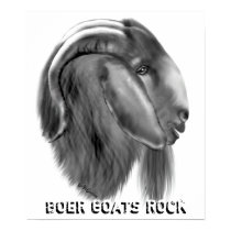 Boer Goat Poster posters by getyergoat Boer Goat Poster posters