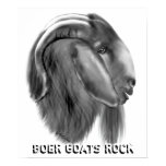Boer Goat Poster