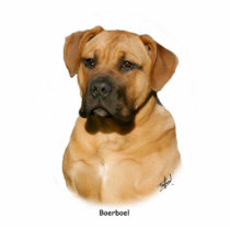 Boerboel 9Y121D-294 photo sculptures