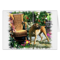 Boerboel Art Gifts cards by DogsByDezign Boerboel Art Gifts cards