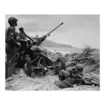 Bofors AA Gun posters by Dividenda Bofors AA Gun posters
