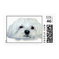 Bogart the Maltese Postage Stamp