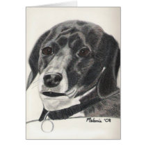 Boglen Terrier - Bruno cards by dogportraitsbymel Boglen Terrier - Bruno cards