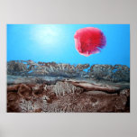 BOGOMIL SUNRISE 2 POSTERS