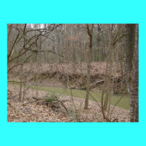 Bogue Chitto Creek posters