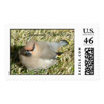 Bohemian Wax Wing postage