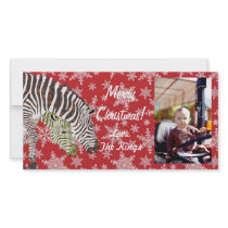 Bohemian Zebra Christmas  Photo Card